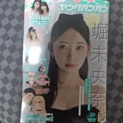 ヤングガンガン　堀未央奈