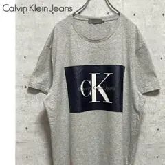 【Calvin Klein Jeans】半袖プリントTシャツ ゆるだぼ グレー