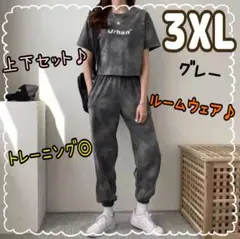 スウェット レディース メンズ 3XL ジャージ セットアップ ルームウェア