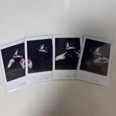 AVAM 姫宮ゆか チェキ