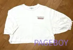 PAGEBOY  Tシャツ　sizeF