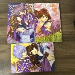 今宵、君とキスの契りを 1-3巻セット