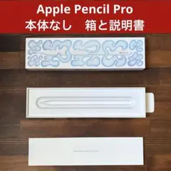 【箱 説明書のみ】 Apple Pencil Pro 本体なし