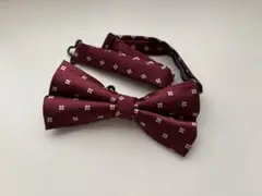 Item thumbnail for item ba0cf5c3-4aa8-4254-ba2d-5d53c56d8471