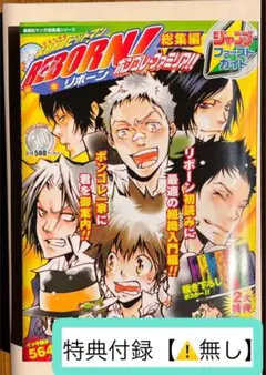 【⚠️付属品なし⚠️】家庭教師ヒットマンREBORN！総集編　ボンゴレ・ファミリア！