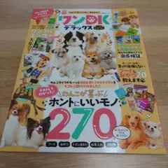 ワンDKデラックス