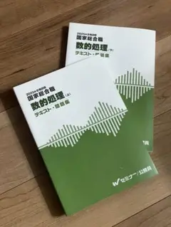 2025年版 国家総合職 数的処理 テキスト・問題集 (下)