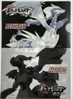 ポケットモンスター　ブラック＆ホワイト　クリアファイル