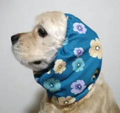 犬スヌード　ペットスヌード　アメリカンコッカースパニエル　イングリッシュコッカー
