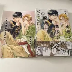 勇者の俺様が魔導士なんかに！　2巻
