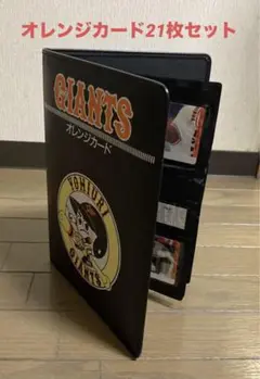 オルグ学　岡崎匡史　非売品　貴重本　美品 オルグ学 岡崎匡史 非売品 貴重本 美品
