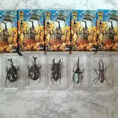 Item thumbnail for item 4f5aa8df-5ded-4536-bc05-bde484cb81c9