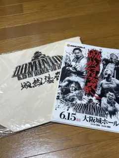 新日本プロレス　ドミニオン　トートバック&クリアファイル