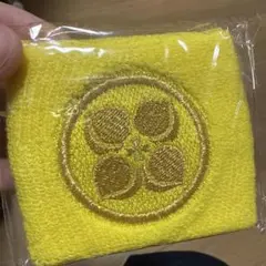 リストバンド　玉井詩織　ももクロ　ももいろクローバーZ