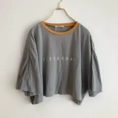 ✨綿素材✨ グリーム 【F】 Tシャツ オレンジ 夏 ボーダー ショート ラフ