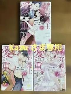 執着弁護士の愛が重すぎる 全巻