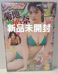 (新品)　漫画アクション　2023.11/7