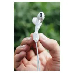 Item thumbnail for item 612629f5-de65-4e76-8717-3827dbd962cb
