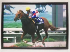 競馬.グラスワンダー.パネル.GREENCHANNEL 開局20周年