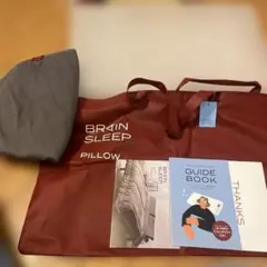 BRAIN SLEEP グレー 枕・ピロー ガイドブック付き⭐︎30000円品
