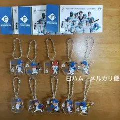 最終値下　ファイターズ　オリジナルアクリルキーホルダー　10個　ステッカー3枚