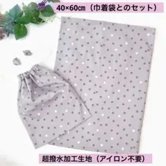 【撥水加エ】ランチョンマット40×60㎝と巾着袋のセット くすみ系ドット