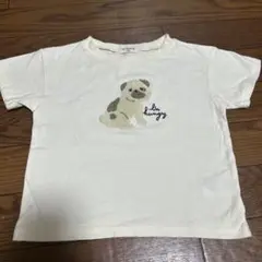 m.board 犬刺繍 Tシャツ 100cm 男の子　女の子