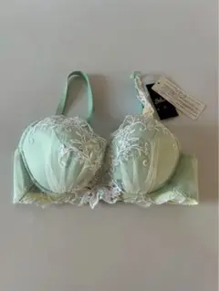 ★値下げ　Salute　ブラジャー　E65 タグ付き新品