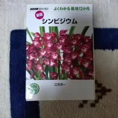 NHK趣味の園芸よくわかる栽培12ヶ月　シンビジウム