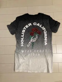 ♦️HOLLISTER♦️バックプリント　Tシャツ　XS