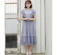 マジェスティックレゴン　ワンピース