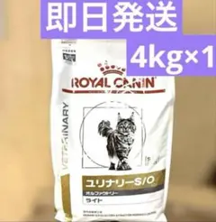 Item thumbnail for item 3086694a-7ff4-4c81-ae52-82119cbe3e30