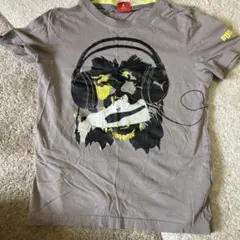 Item thumbnail for item 0f2561e9-e136-4a6d-ad6d-9ab109ce231e