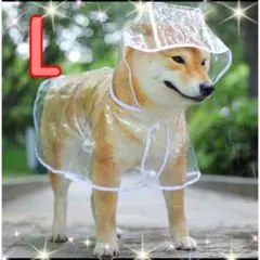 Item thumbnail for item d3f3742f-c92b-4973-b99b-1d8b10d19076