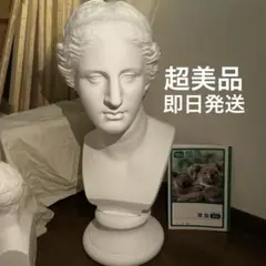 石膏像 メディチ 美術 スケッチ インテリア 堀石膏制作　首像 HORI SEKKO / メディチ 頭像 石膏像 デッサン 美術 高さ約61cm
