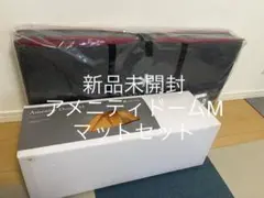 【新品】スノーピーク アメニティドームM マットシートセット