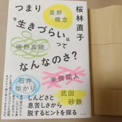 つまり生きづらいってなんなのさ　桜林直子