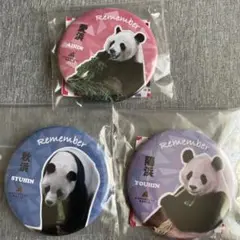 アドベンチャーワールド　パンダ ガチャ缶バッジ　 3個セット