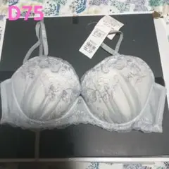 チュチュアンナ　365日きれいブラ　D75