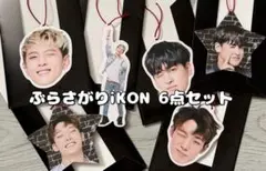 ぶらさがりiKON 6点セット