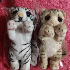 たっちぃzoo　バラ売りはしてません プチプチ無しの発送です。　値下げしました
