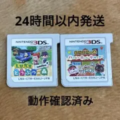 3DS とびだせ どうぶつの森 amiibo+ ハッピーホームデザイナー