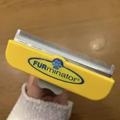 Item thumbnail for item ccfb8fc5-218e-4e9d-8c3b-8b0251e7f9d8