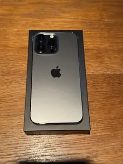 Apple iPhone 13 Pro グラファイト
