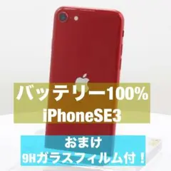 【バッテリー100%】iPhoneSE3 第三世代 SIMフリー 美品