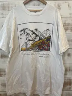 フルーツオブザルーム　90s カナダ バンフ　Tシャツ　X Lサイズ