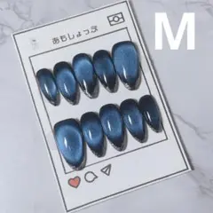 深海ブルーマグネット×シルバーラメフレンチネイルチップ