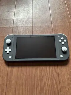 Nintendo Switch LITE グレー ジャンク品