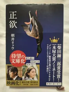 正欲