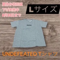 UNDEFEATED Lサイズ Tシャツ　値下げ中